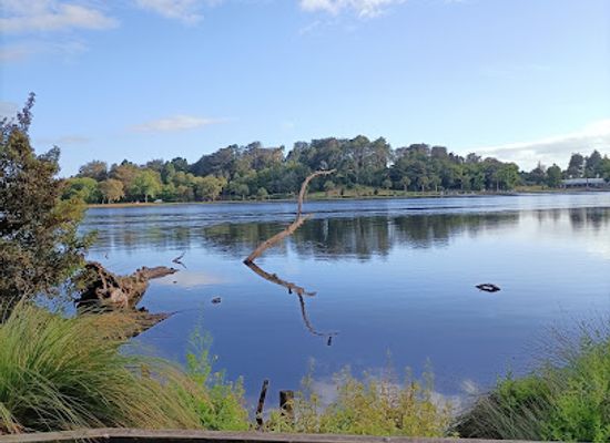 new-zealand/hamilton/landmark/hamilton-lake-domain