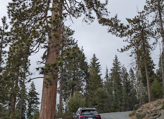 california/sequoia-national-park/landmark/sequoia-kings-canyon-national-parks