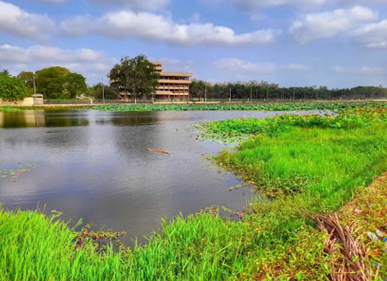 cote-d-ivoire/yamoussoukro/landmark/lac-aux-caimans
