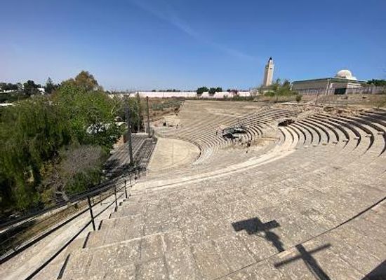 tunisia/the-cap-bon-peninsula/landmark/roman-theatre-of-carthage
