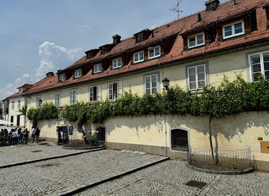 slovenia/maribor/stara-trta/landmark/stara-trta-najstarejsa-trta-na-svetu