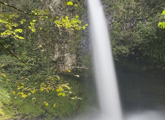 costa-rica/northern-plains/landmark/rancho-rainforest-explorers