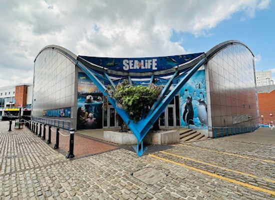united-kingdom/birmingham/attraction/national-sea-life-centre-birmingham