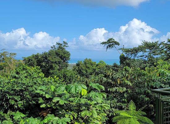 puerto-rico/puerto-rican-cordillera/landmark/el-portal-de-el-yunque-visitor-center-el-yunque-national-forest
