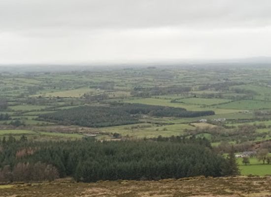 ireland/wicklow-mountains/landmark/hollywood-glen