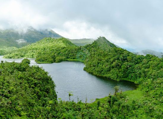 dominica/freshwater-lake/landmark/freshwater-lake-trail