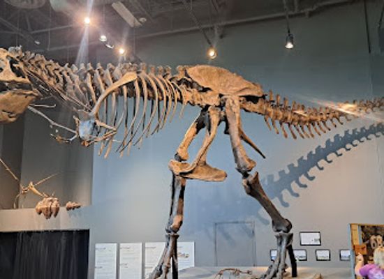 north-dakota/bismarck/landmark/state-historical-society-of-north-dakota