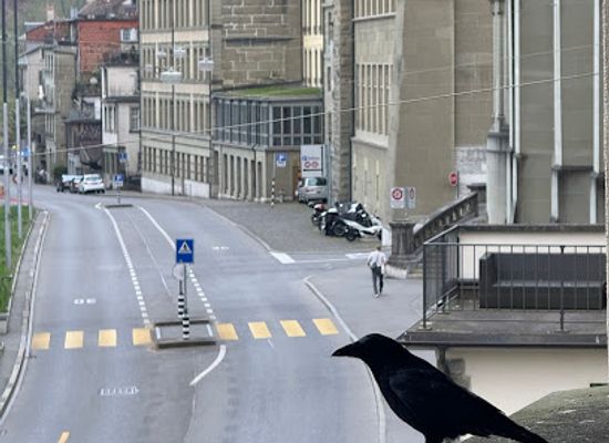 switzerland/bern/landmark/aussichtsplattform-altstadt-place-du-marin