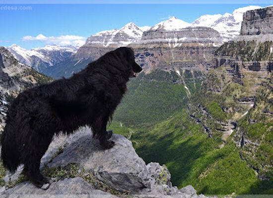 spain/ordesa-y-monte-perdido-national-park/landmark/ordesa-net