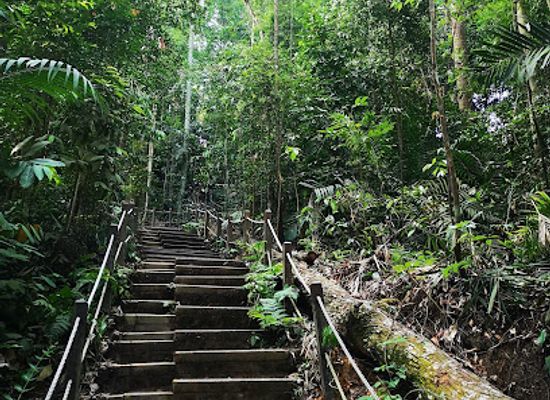 singapore/bukit-batok/landmark/bukit-timah-summit
