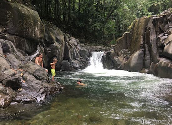 dominica/indian-river/landmark/chaudiere-pool