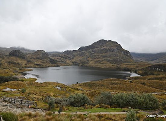 ecuador/southeast-oriente/landmark/laguna-toreadora