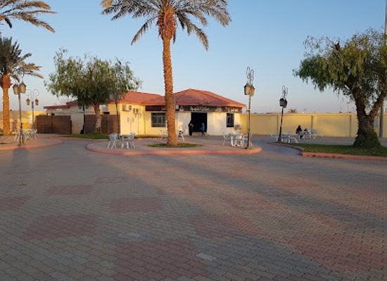 saudi-arabia/tabuk-mountains/landmark/green-land