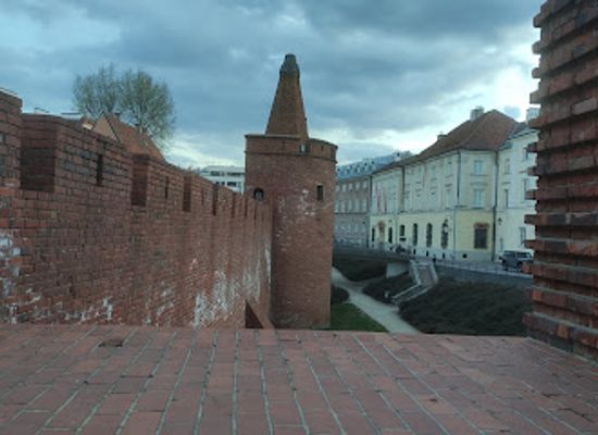 poland/zulawy/landmark/raczynski-palace-in-warsaw