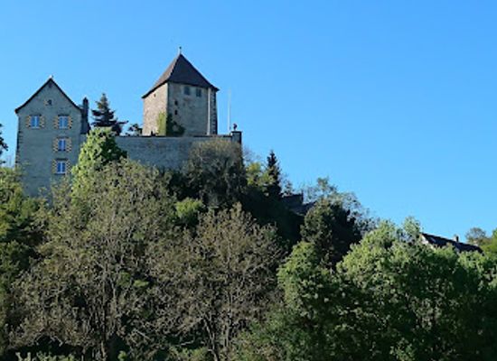 switzerland/schaffhausen/landmark/herblingen-castle