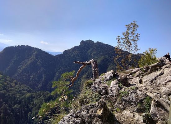 slovakia/spis/landmark/museum-of-pieniny-national-park