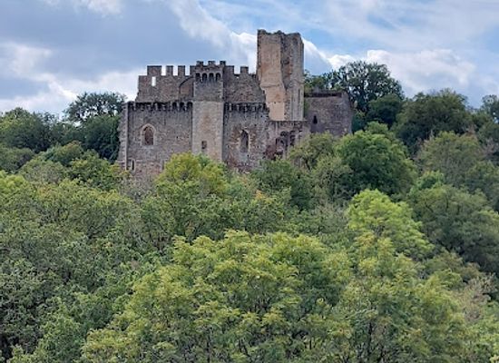france/limoges/landmark/chateau-de-chalucet