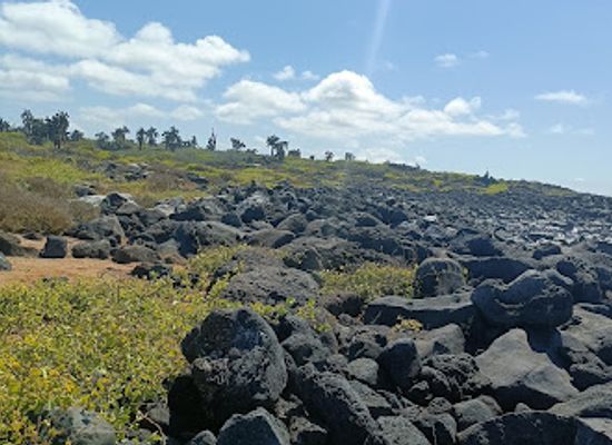 ecuador/galapagos-islands/landmark/tortuga-bay-beach