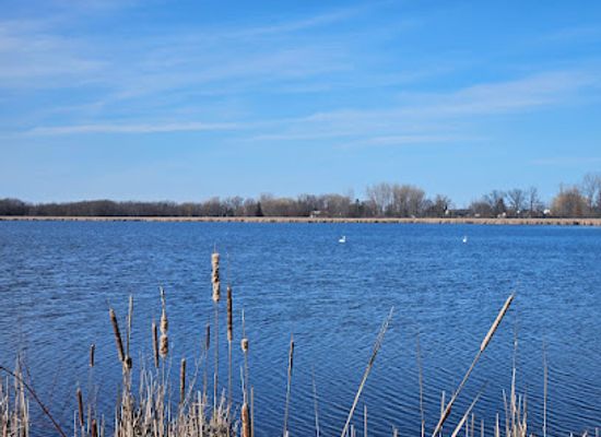 michigan/central-michigan/landmark/tobico-marsh-nature-area