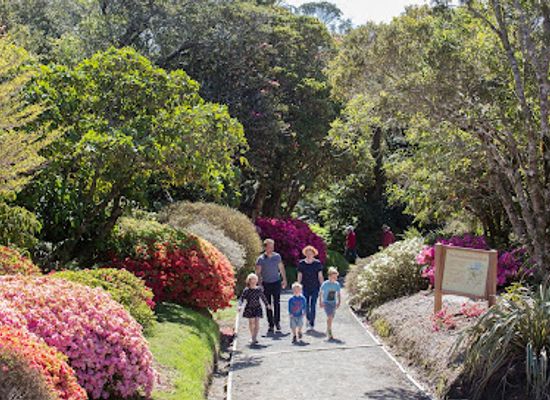 new-zealand/taranaki/landmark/pukeiti