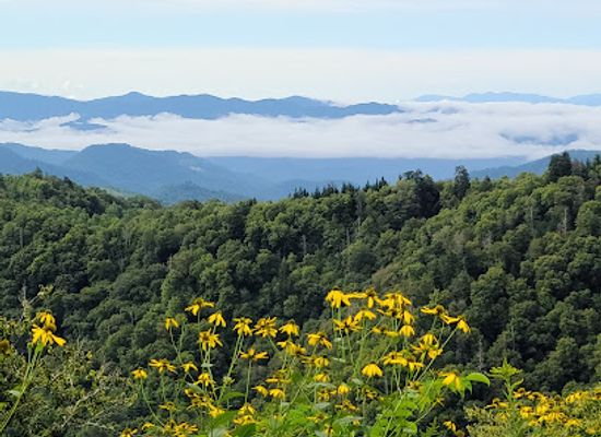north-carolina/foothills/landmark/newfound-gap