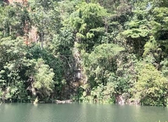 singapore/bukit-batok/landmark/bukit-batok-hill