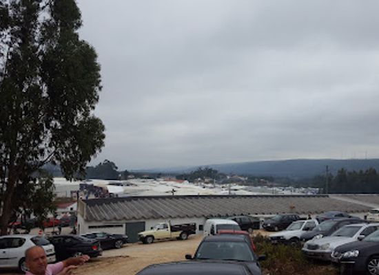 portugal/caldas-da-rainha/landmark/santana-market