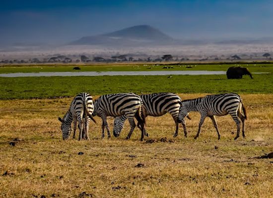 kenya/amboseli-national-park/landmark/amboseli-np-kimana-gate