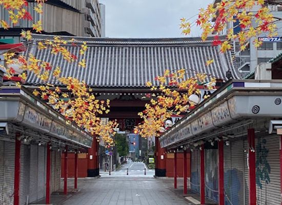 japan/tokyo/landmark/kaminarimon
