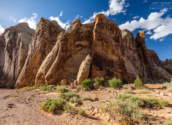utah/torrey/landmark/grand-wash-trailhead
