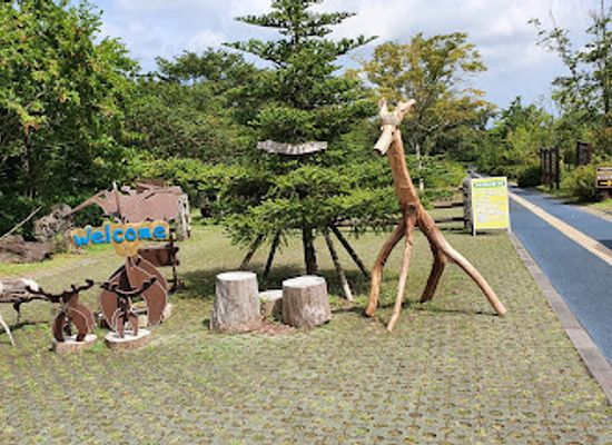 south-korea/jeju-island/landmark/halla-eco-forest