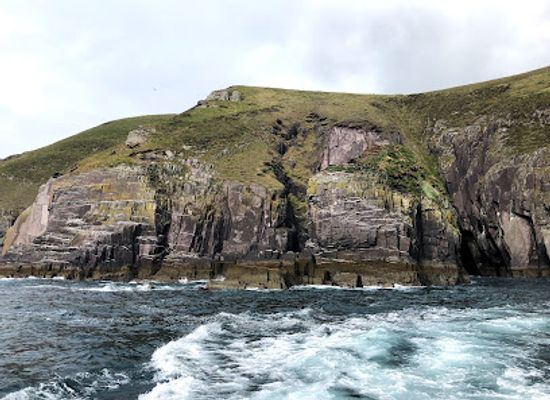 ireland/dingle-peninsula/landmark/fungie-the-dingle-dolphin