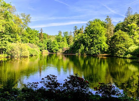 netherlands/veluwe-national-park/landmark/nationaal-park-veluwezoom