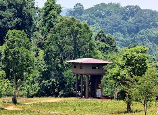 thailand/khao-yai/landmark/nong-phak-chi-wildlife-watching-tower