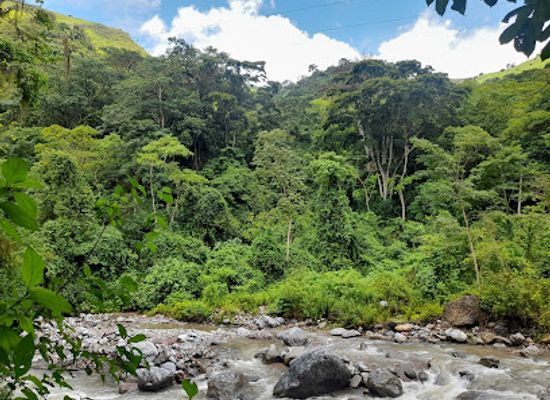 honduras/central-highlands/landmark/cuevas-de-talgua