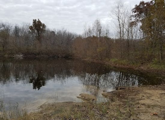 indiana/michiana/landmark/chamberlain-lake-nature-preserve