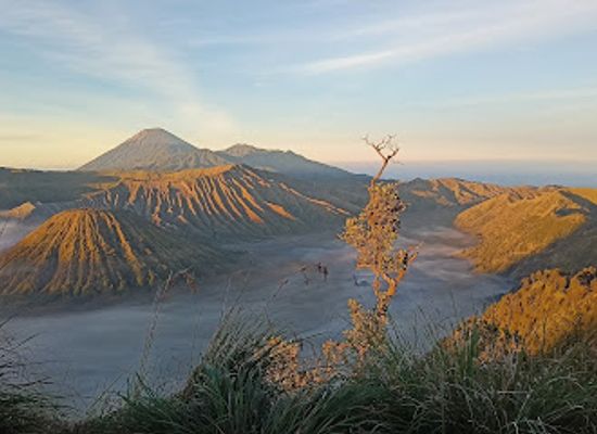 indonesia/mount-bromo/landmark/king-kong-hill
