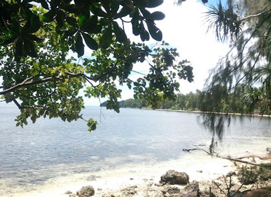 palau/peleliu-island/landmark/81st-infantry-division-memorial