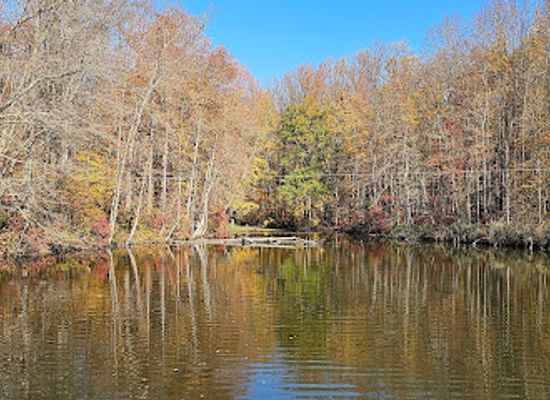delaware/lums-pond-state-park/landmark/lums-pond