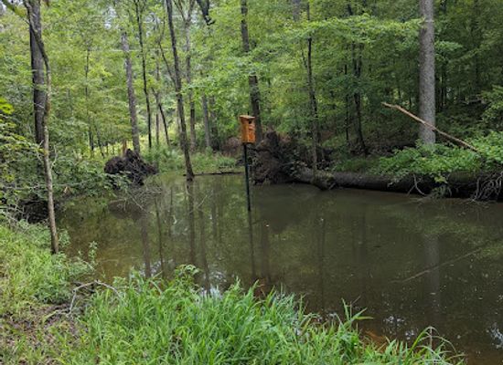 louisiana/caddo-lake/landmark/walter-b-jacobs-memorial-nature-park
