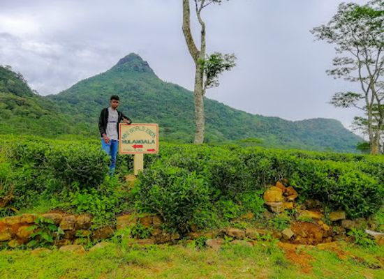 sri-lanka/matale-district/landmark/hulangala-mini-world-s-end-viewpoint-elkaduwa-plantations