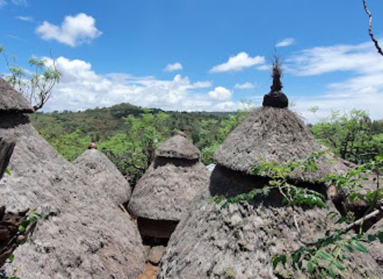 ethiopia/southern-nations-nationalities-and-peoples-region/landmark/konso-cultural-landscape
