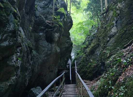 austria/vienna-woods/landmark/wildschutzenloch