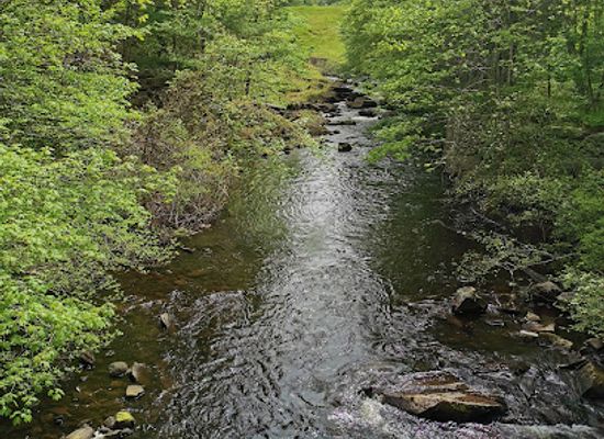 rhode-island/kent-county/landmark/audubon-george-parker-woodland-wildlife-refuge