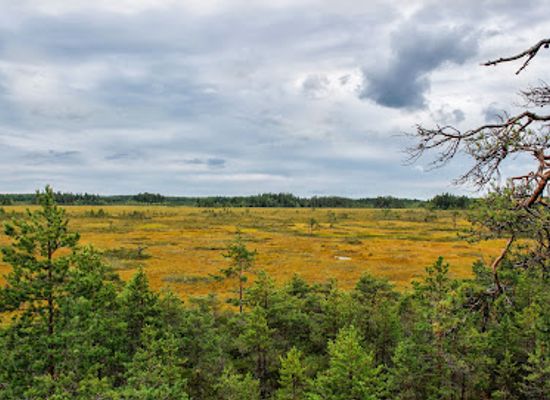 finland/kymenlaakso/landmark/valkmusa-national-park