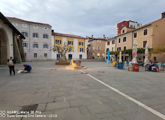 slovenia/koper/landmark/carpacciov-trg