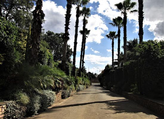 malawi/lilongwe-plain/landmark/kulemeka-gardens