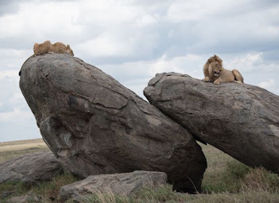 tanzania/western-zone/landmark/serengeti-national-park