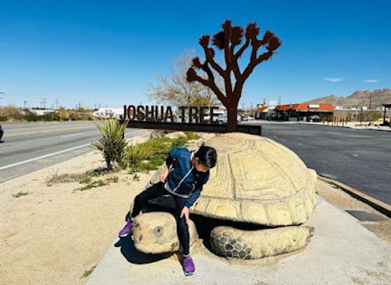 california/joshua-tree/landmark/rock-rapture-jewelry-and-gift-gallery-the-joshua-tree-art-gallery-jtag