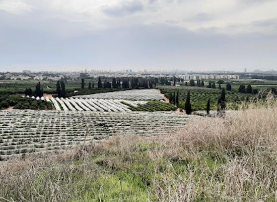 israel/raanana/landmark/restored-garbage-mountain